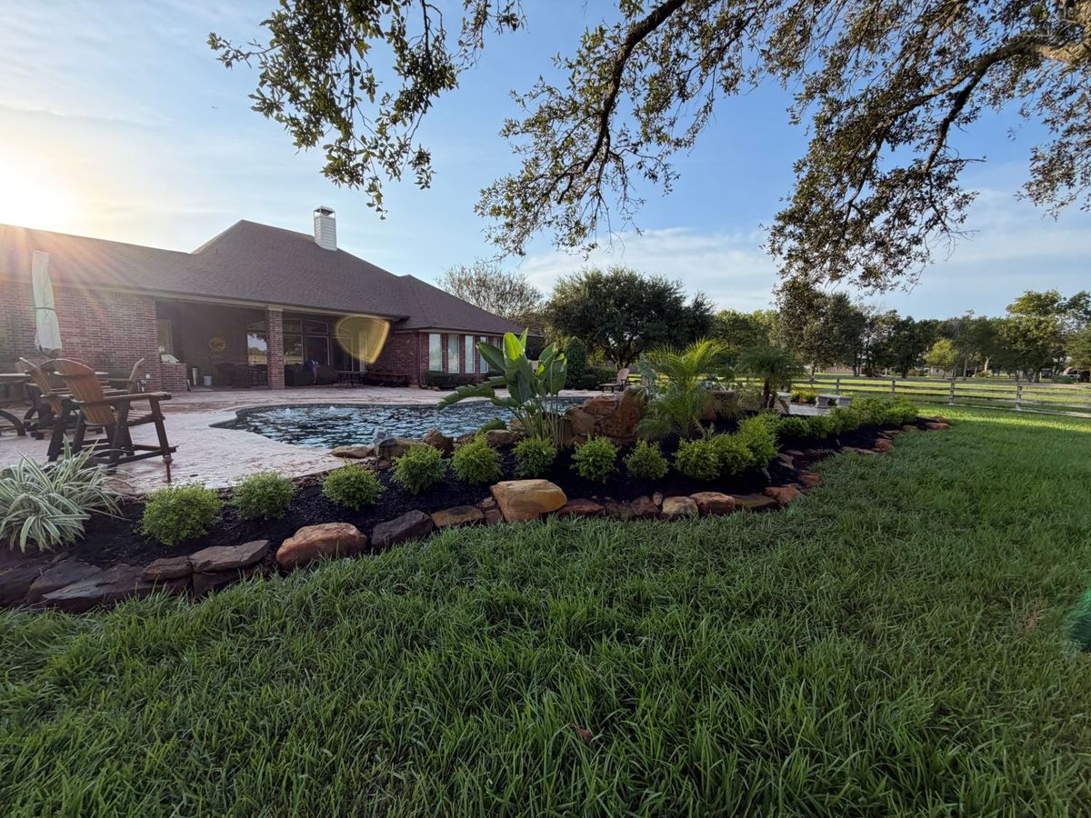 Curved planting bed beside a backyard pool, edged with boulders and filled with new shrubs, palms and black mulch
