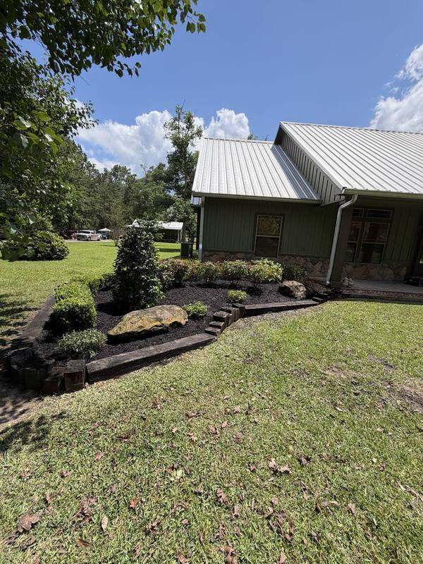 Boxwood bed with timber edging beside a metal-roof home