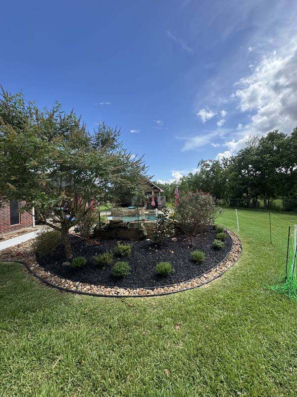 Curved mulch bed with boxwoods beside a backyard pool