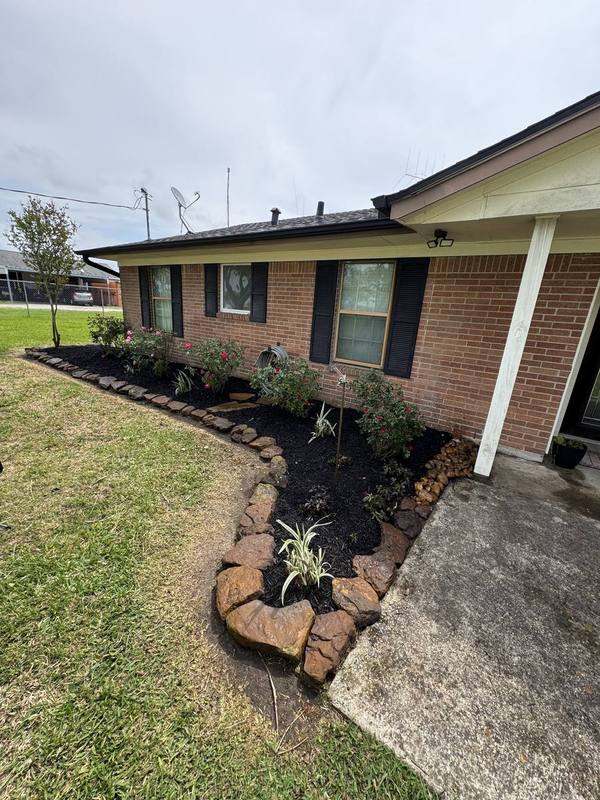 Rose bed with black mulch and a natural rock border
